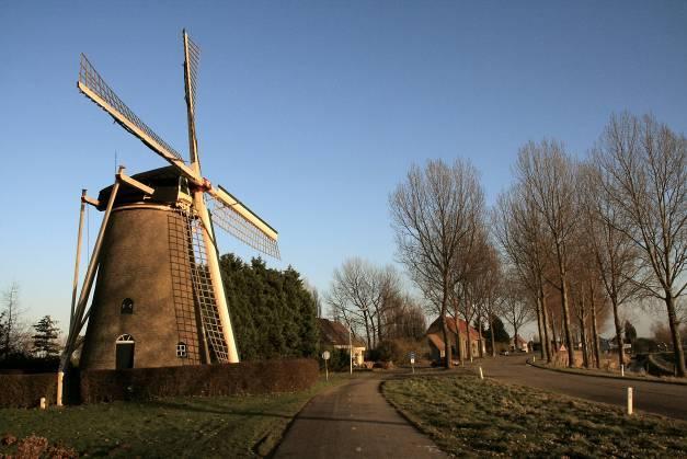 Voorbeelden uit de praktijk Wim Bosdijk, bestuurslid van Molenstichting Goeree-Overflakkee, vertelde vervolgens hoe de molenbiotoop is aangepakt in Den Bommel bij één van hun elf molens in bezit van