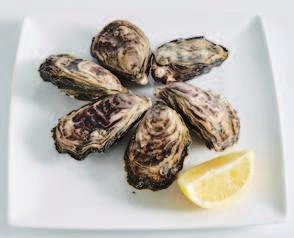 Normandië, kaliber 3 GEGRATINEERDE OESTER Vul elke oester met een klontje boter, wat room, enkele