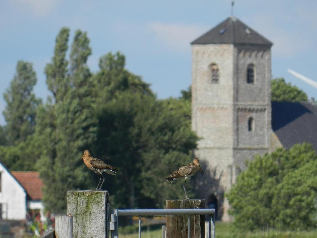 Weidevogel beheer Spaarnwoude