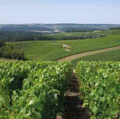 Depuis 2015, les coteaux, maisons et caves de Champagne sont classés