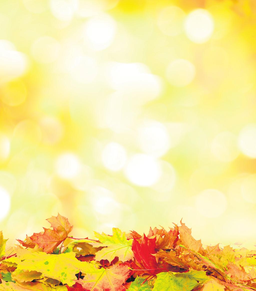 GEMEENTENIEUWS GEMEENTE UTRECHTSE HEUVELRUG Bladruimen in de gemeente: Veiligheid staat voorop! Het is herfst en het blad valt van de bomen.