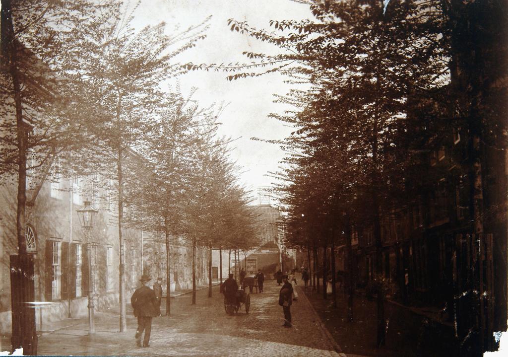 Op de oudst bekende foto uit het begin van de 20 e eeuw is in dit deel van de Vriesestraat een kasseienbestrating met aan weerszijden een rij bomen te zien (afb. 6)