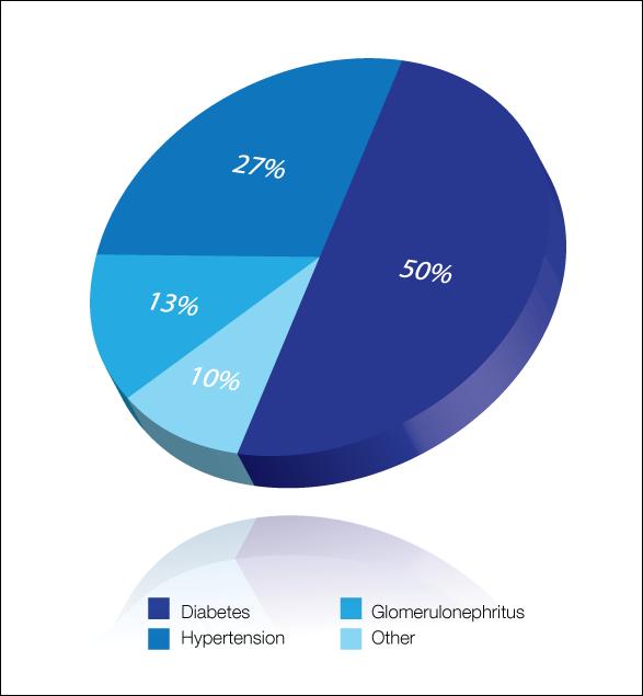 Nierschade Primaire diagnose voor patiënten die starten met dialyse Bron: United States Renal Data