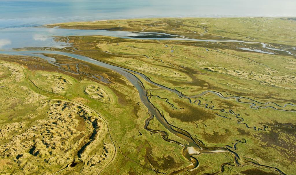 BELANG VAN DE NATUUR Natuur heeft gebruikswaarde Natuur heeft intrinsieke waarde