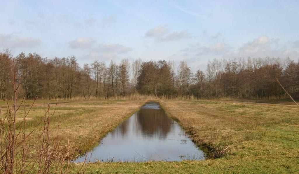 Het dorp Heelweg Heelweg is een kleine gemoedelijke kern met ca.