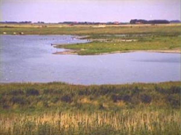 Bron 1: Vogels in de Wevers inlaag Ken je de film de Storm? Die speelt zich af in Zeeland. In 1953 gebeurde er daar namelijk iets heel ergs: de dijken braken door en het land werd overstroomd.