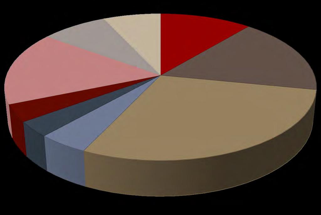 Professionele status 16% 8% 7% 11% 17% Ambtenaar Arbeider Bediende Zelfstandige