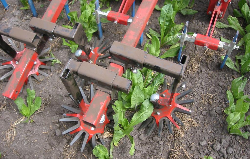 Kengetallen voor de biologische akkerbouw 5 de meerwaarde groeit. Ook worden zaai- en plantafstanden vaak aangepast om zo uniform mogelijk te kunnen werken (normalisatie).