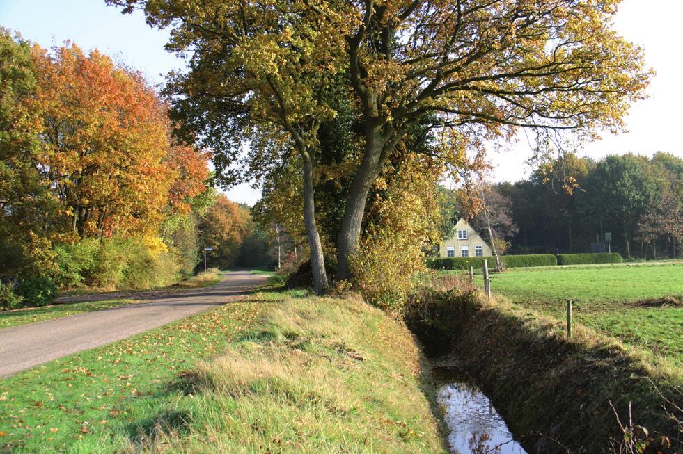 Na de eerste twee cursusavonden zal er een fietsexcursie plaatsvinden waarin het landschap rondom het dorp wordt verkend.