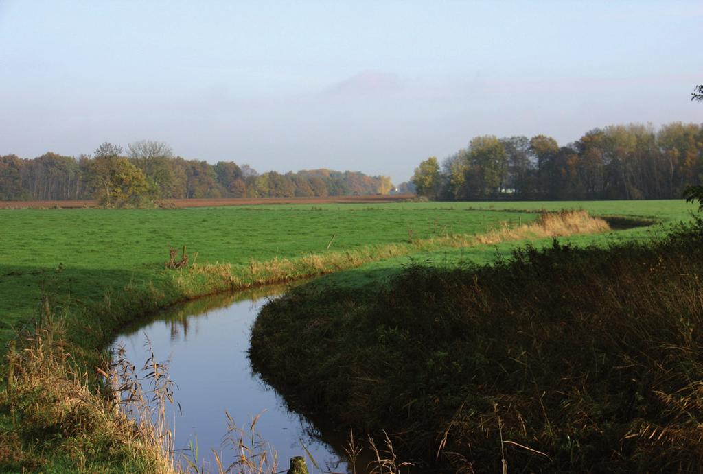 Cursusavond 3 6 mei - Veldnamen als gidsfossiel voor de dorps- en landschapsgeschiedenis Tijdens de derde cursusavond zal de taalkundige Henk Bloemhoff het woord voeren.