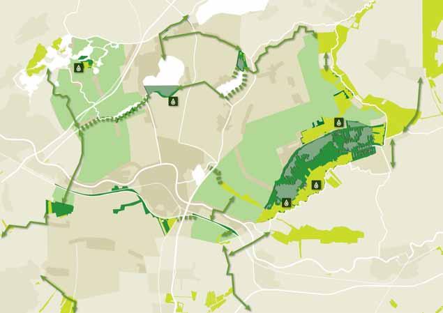 6.3 Natuur Ecologische verbindingszones De natuurgebieden buiten de Nieuwkoopse plassen liggen vaak aan de randen van plassen en zijn klein van omvang.