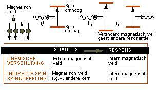 Extern en intern magnetisch veld In een magnetisch veld kunnen kernen met een magnetisch dipoolmoment twee standen innemen, een met lage en een met hoge energie.