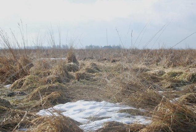 DANKWOORD Bij de volgende deelnemers zijn vogeltellingen uitgevoerd: F.J. Smits, A. Harrenstein, C.M. de Winter, P.T. Bierema, H.H.J. Koop, A.M. Elema, K.C. en K.J. Hoff, G.R. Bos en K.W. Berghuis.