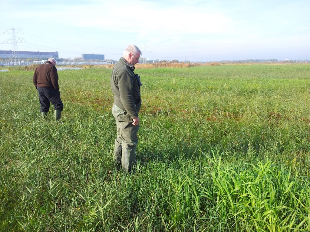 1 Inleiding Het Oostzanerveld is een veenweidegebied met plas-dras graslanden en rietkragen dat van Oostzaan in het zuiden doorloopt tot de droogmakerij Wijdewormer in het noorden.