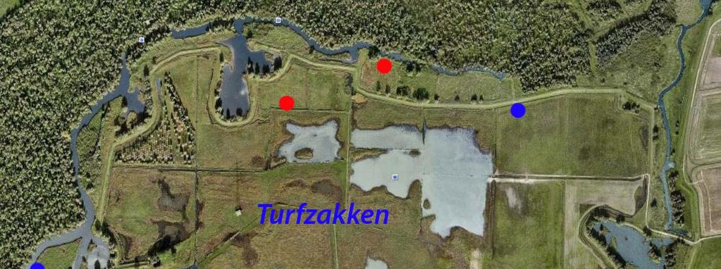 3 Resultaten Tijdens het onderzoek werden in totaal 211 vangsten gedaan, verdeeld over zes soorten muizen: - bosspitsmuis (Sorex araneus) 17 vangsten - noordse woelmuis (Microtus oeconomus) 33