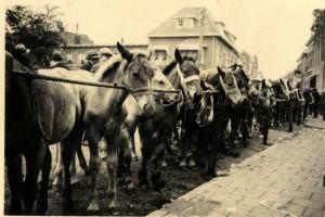 De paardenmarkt werd jaarlijks in augustus gehouden en was een groots en feestelijke gebeurtenis.