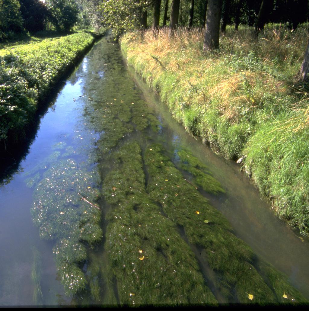 Vlaanderen is milieu Biologische kwaliteit van het