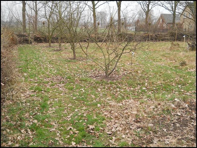 Het terrein wordt aan de westen oostzijde begrenst door een woning met tuin, aan de zuidzijde