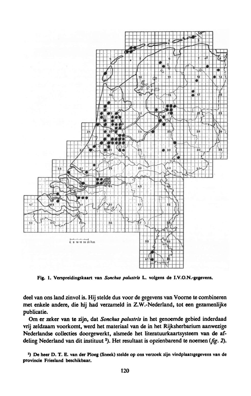 Fig. 1. Verspreidingskaart van Sonchus palustris L. volgens de I.V.O.N.-gegevens. deel van ons land zinvol is.