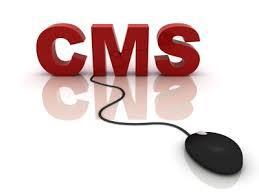 STAP 2: PROGRAMMA KIEZEN Om iets op het internet te kunnen publiceren, heb je een Content Management Systeem (cms) nodig.