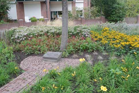 VASTE PLANTEN Lage beplanting met een zeer hoge sierwaarde door bloeiwijze of bladvorm.