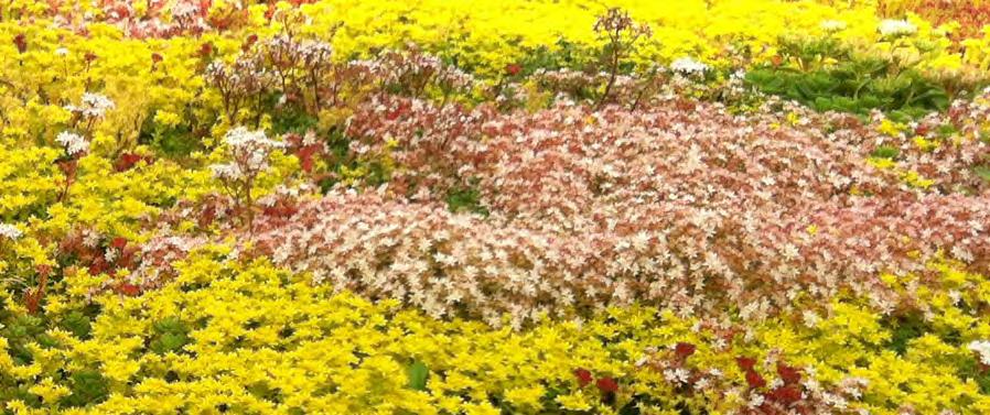 Verder bestaan de inrichtingselementen in de openbare ruimte uit natuurlijke en duurzame materialen, zoals hout en staal voor parkbanken, speelobjecten en vuilnisbakken.