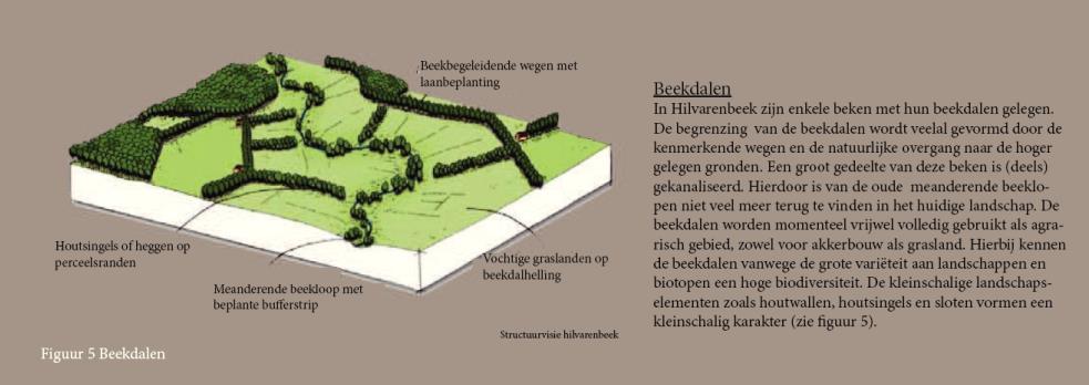 Na aanplant van de nieuwe beplanting en dunning van de bestaande beplanting bestaat het sortiment uit: - Bestaande bomenrij: Fagus sylvatica (Gewone beuk). Na dunning staat de rij op ca.