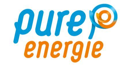 Bijlage 1 Pure Energie Samen investeren in een echt duurzame samenleving Raedthuys Pure Energie gelooft in duurzame energie van Nederlandse bodem.