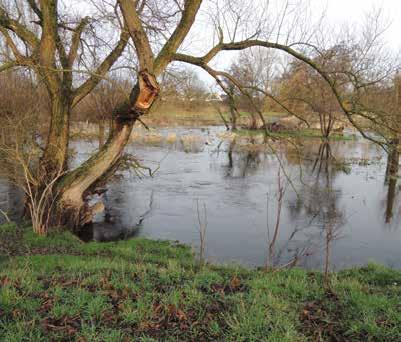 Milieu, water en landbouw Een aantal plekken in Limburg heeft te maken met milieuproblemen.