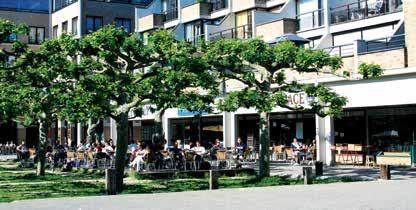 Een stad met gastronomie en streekproducten 4u toegankelijk CULINAIR TRAJECT Kom genieten van een meergangenmenu in verschillende etablissementen in Louvain-la-Neuve.