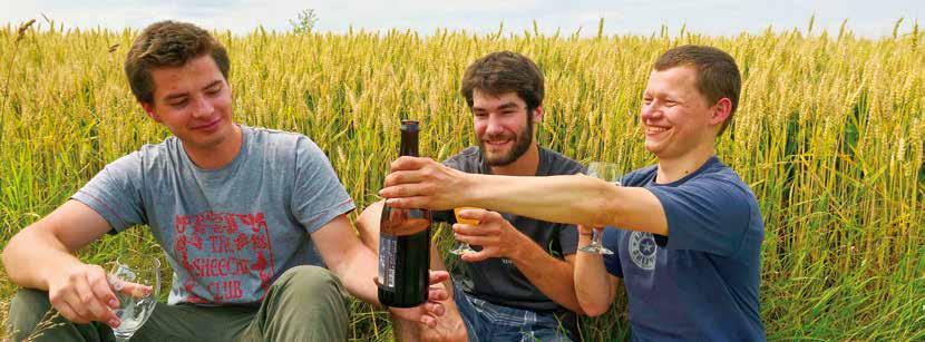 DE ROUTE VAN DE BROUWERIJEN EN DE WITTE DORPEN beertourism.be 2u De witte dorpen Brabants Haspengouw Onthaal in de brouwerij van Jandrain-Jandrenouille. Bezoek en proeverij.