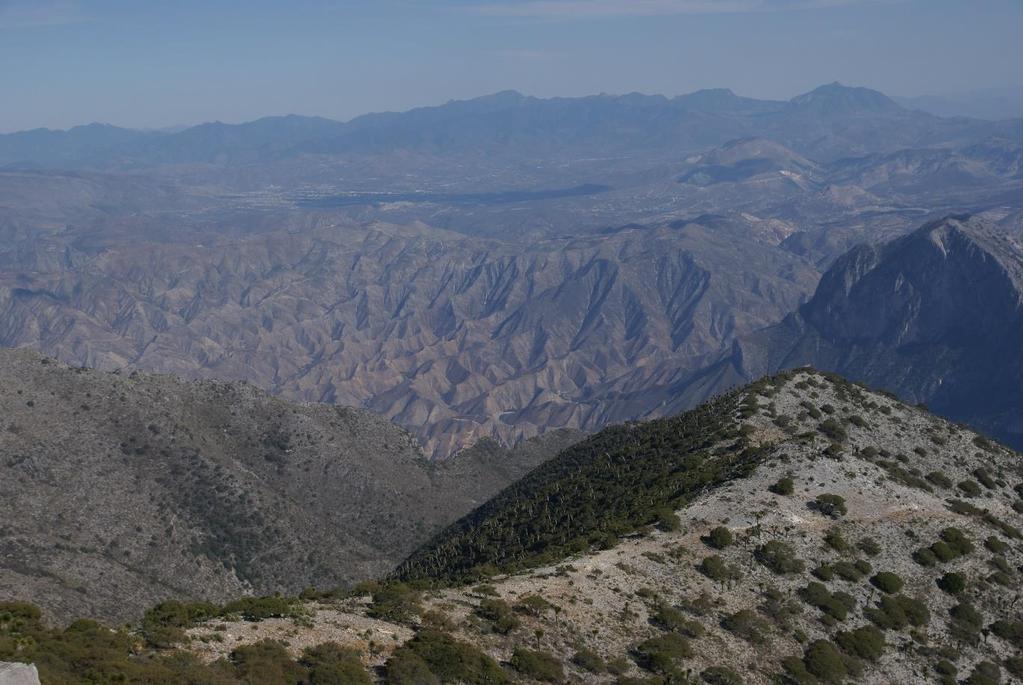 Sierra el Doctor Echeveria halbingeri van El Doctor dalen we dan 1000 meter af