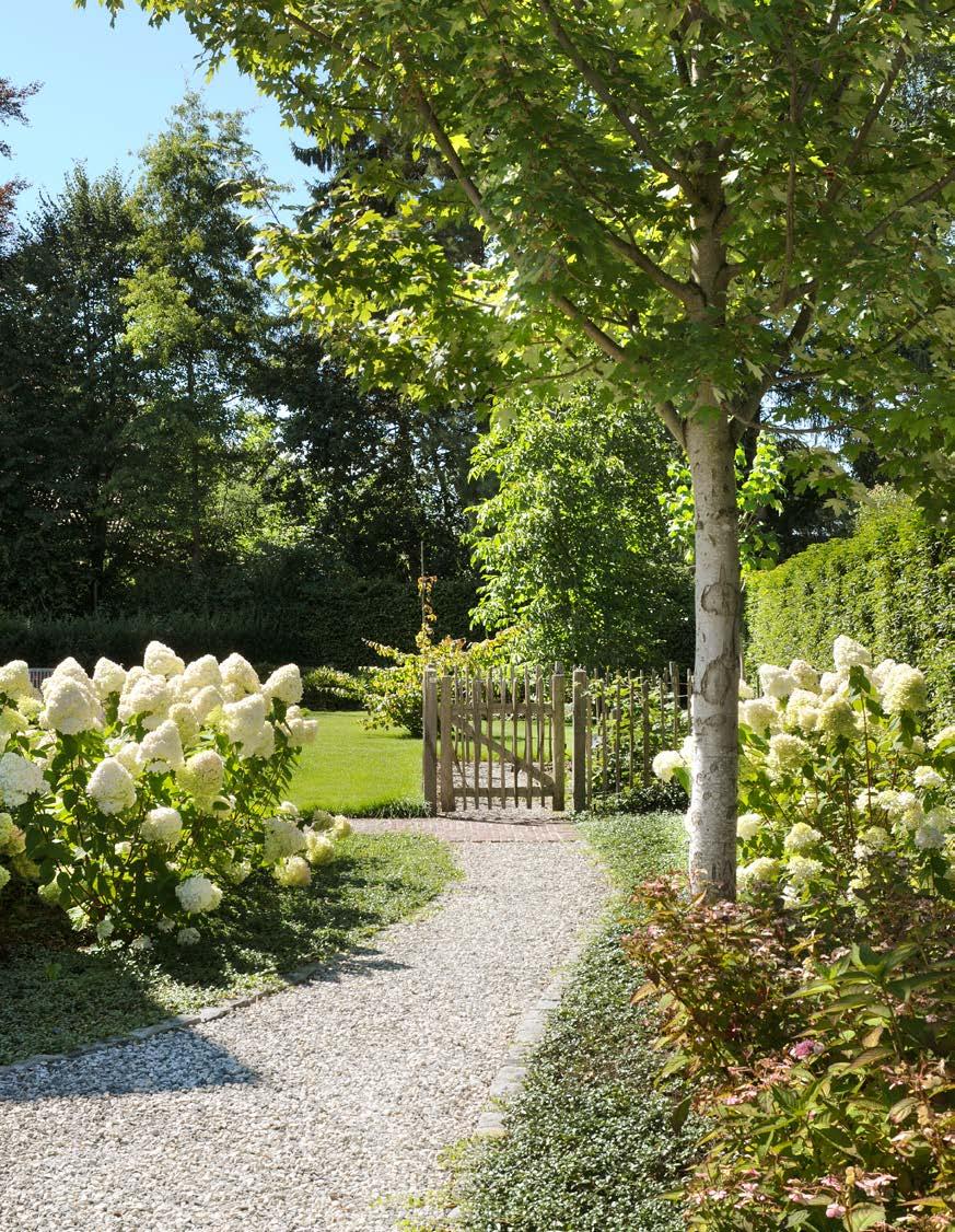 34 tuin in beeld 35 De tuin is nog vrij nieuw, maar toch lijkt het alsof deze er altijd al geweest is.