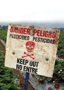 1. Destructief boeren/tuinieren Pesticiden beschadigen veel meer dan we weten De industrie is niet transparant, en wil vooral winst maken.