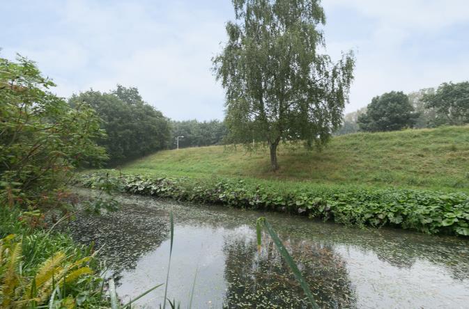 Een smal paadje loopt naar de waterpartij, waar nog een tweede terras ligt met een mooi uitzicht. Bijzonderheden Er ligt glasvezel.