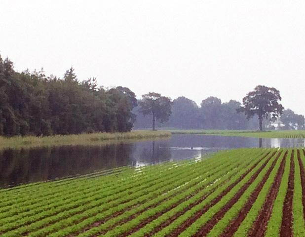 Pijler II Beheren van het watersysteem Met een stresstest op het watersysteem wordt inzichtelijk hoe het systeem reageert bij extreme neerslag (worstcasescenario).