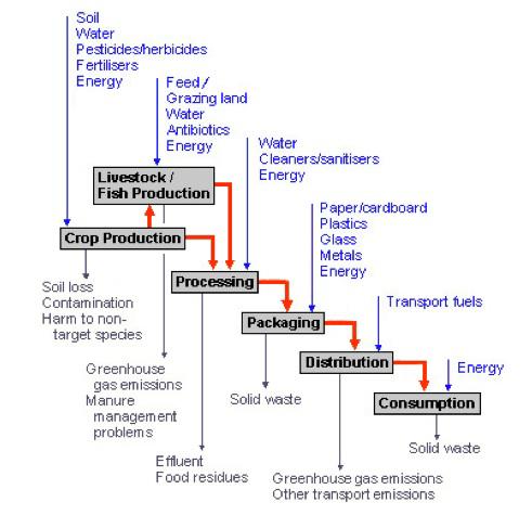 Voorbeeld van een voedselketen/systeem Keten: In: water, energie, lucht en grondstoffen Uit: reststoffen, water en lucht (thermisch