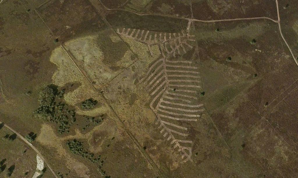 Foto 8: Plagstroken in visgraatpatroon op de Strabrechtse heide. (Luchtfoto boven:google Earth, Aerodata International Surveys; Foto onder: Jap Smits).