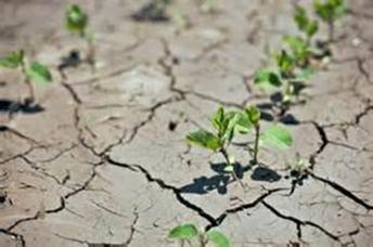 Wensen voor Waterwijzer Landbouw klimaatbestendig op basis van