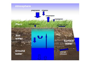 Waterwijzer Landbouw: producten Makkelijk toepasbare (online) tool -> eerste tests door externe gebruikers met prototype voor gras en maïs