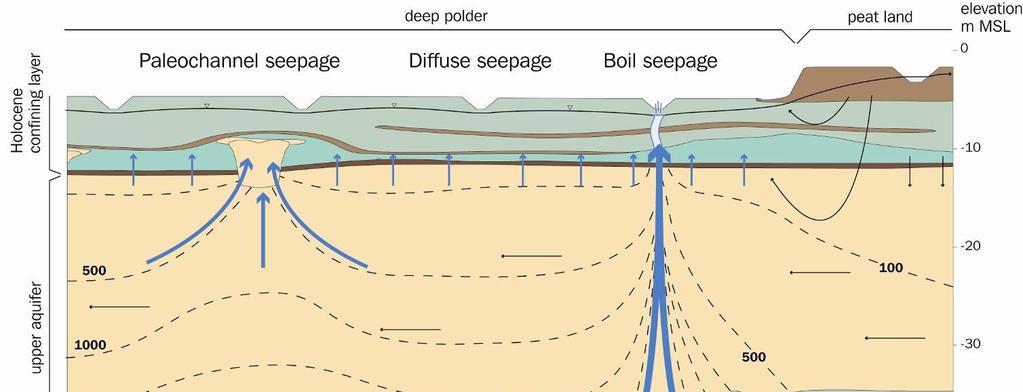 Three types of upward groundwater seepage