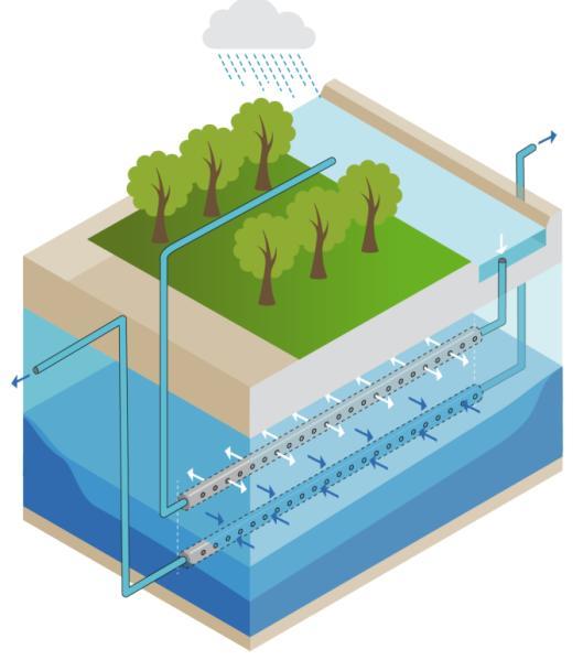 GO-FRESH: Lokale maatregelen vergroten zoetwatervoorziening Doel: Vergroten zoete grondwater