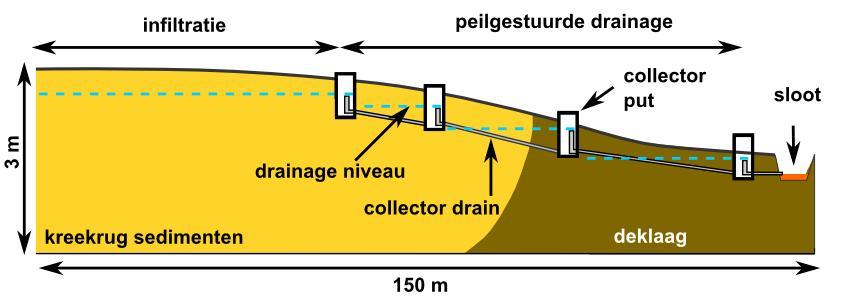 Increase of freshwater lens by active infiltration fresh surface water: pilot