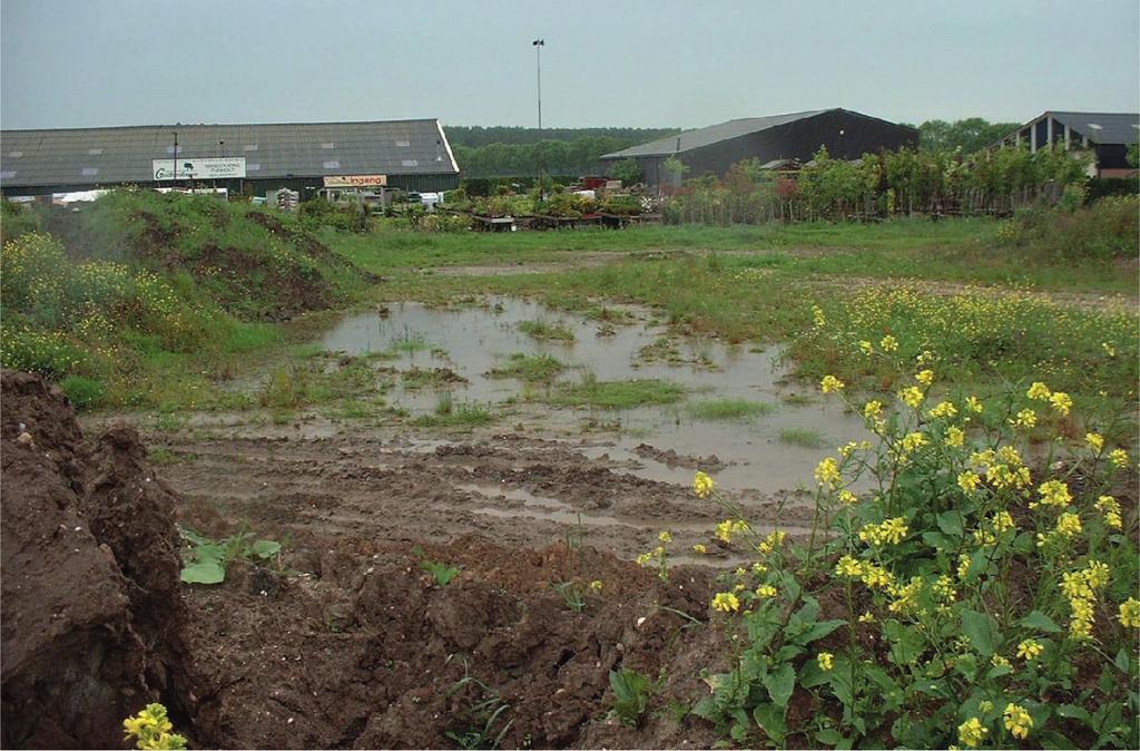 De ontheffing waarborgt dat het braakliggende terrein later kan worden ingericht zonder nieuwe procedures. Tijdelijke natuur of gebiedsgerichte ontheffing bij gebiedsontwikkeling?