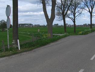 De Essendijk, rond 1580 ontstaan, verbindt Rhoon met Barendrecht en slingert zich langs de polders en is omzoomd door bomen. Eén van de meest kenmerkende landschapselementen van de polders van Rhoon.