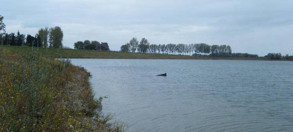 .3. Conditie In bijlage. worden de conditiegrafieken van de meest voorkomende vissoorten weergegeven (alver, baars, brasem, blankvoorn, pos en snoekbaars).