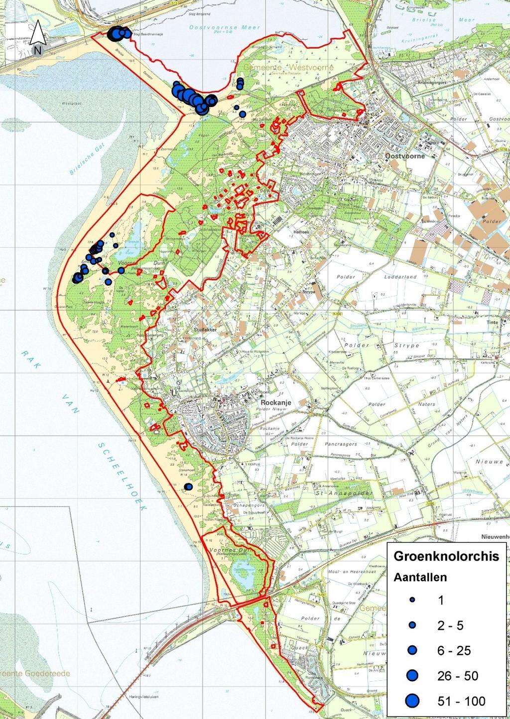 Figuur 3.8: Voorkomen Groenknolorchis in de periode 2006 2011. (Bron: inventarisatiegegevens NM en ZHL).