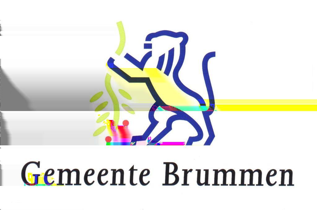 Gegevens bevoegd gezag Referentienummer Datum ontvangst hoort bij besluit van college van Brummen BESLUIT_2015-2928_aanvraagformulier.