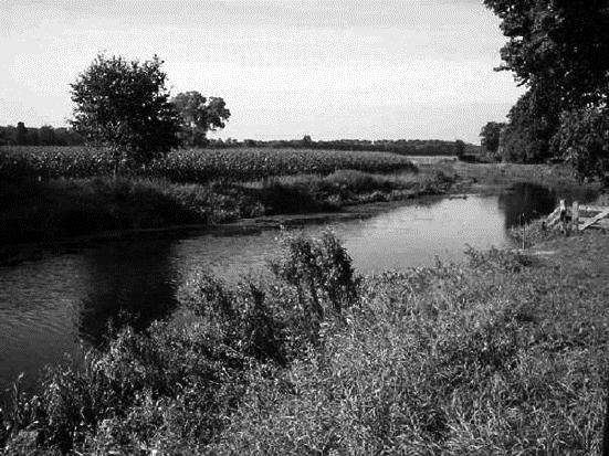 Zuurstof in water Water bevat zuurstof. Het zuurstofgehalte van water is de hoeveelheid zuurstof in het water in mg/l. Het zuurstofgehalte van water heeft een maximum: het verzadigingsniveau.