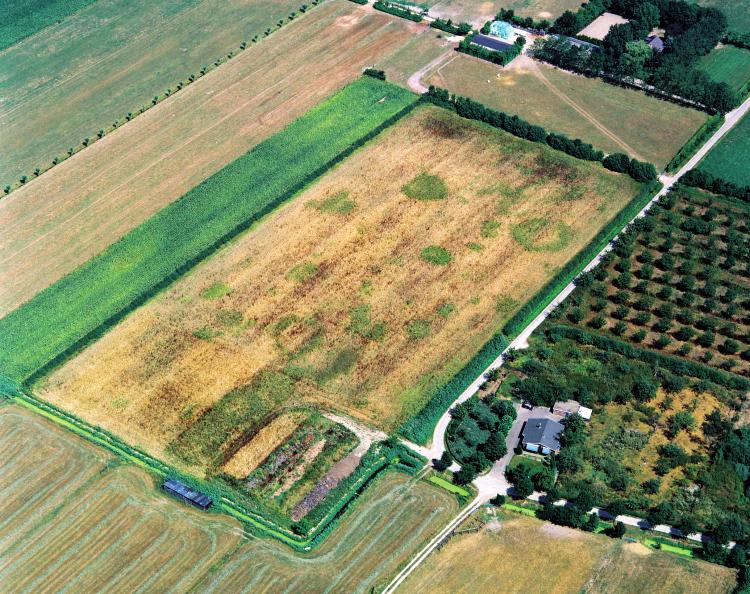 Fig. 2.20 Odijk-De Vinkenburgweg (site 90): luchtfoto van een aantal ronde grondsporen die mogelijke grafheuvels voorstellen. Opname vanuit het zuidwesten. Bron: Provincie Utrecht.